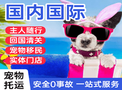 潮汕机场邮寄国际宠物托运 【国